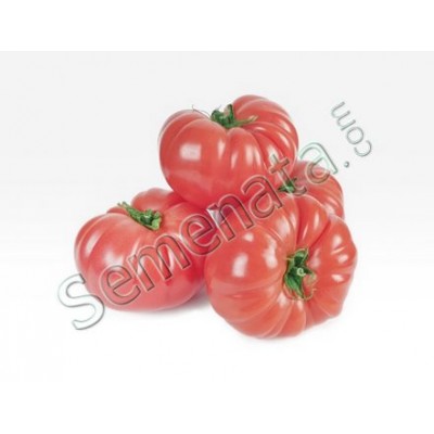  Certified Seeds for Pink Tomatoes Vermilenza F1 | Enza Zaden